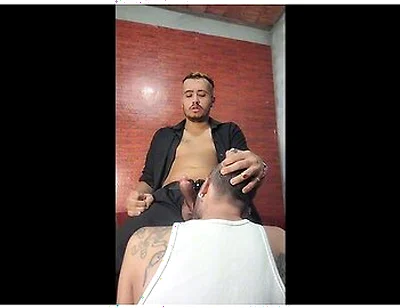 O Pastor