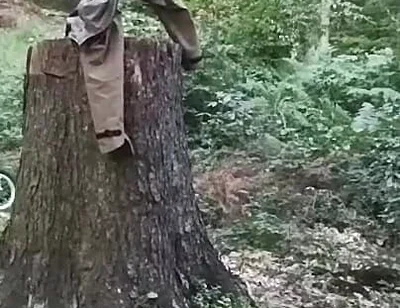 Stump Chase, Part One