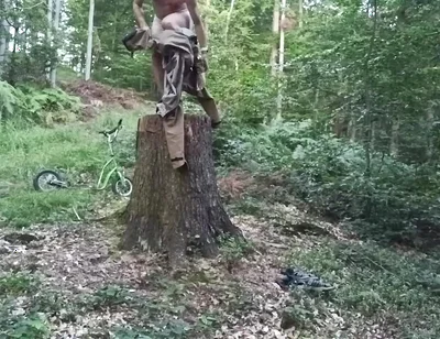 Stump Chase, Part One