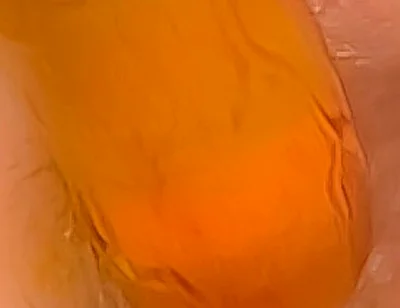 Happy Ass
