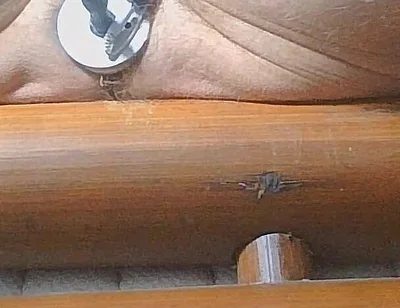 Long Edging