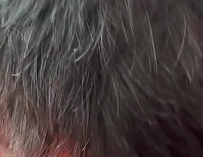 The Secret Intimacy of the Bears 3