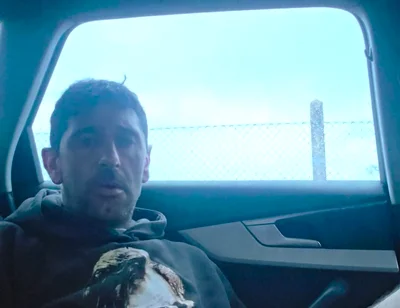 In Public, in the Car