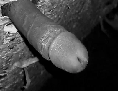 Hot Indian Desi Boy Masturbating in the Night.