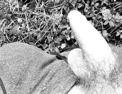 The Zombie Apocalypse Came, I Managed to Escape and It Occurred to Me to Masturbate Fast!