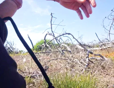 Masturbating My Big Cock on a Beach - Walking Excited