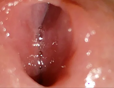 Wide and Deep, Irresistible Damp Hole!