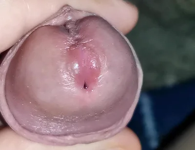 I Got Lost in the Amazon Jungle