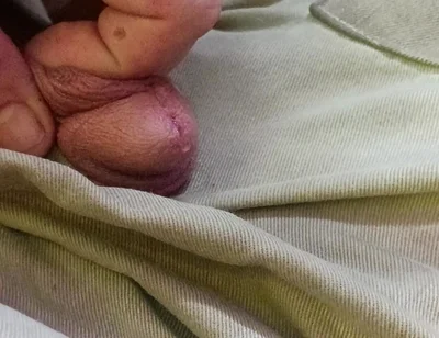 Piss Pig Fag Boy