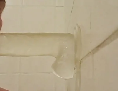 The Duties of a Slut, 1. the Blowjob of Cock