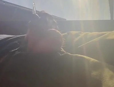 Pissing in Sunset