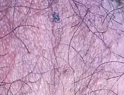 Sexy Twink's Hairy Balls Move All Alone for This Fascinating Gay Porn Video