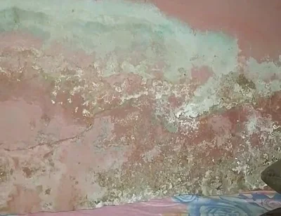 Big Cock Pees and Fucks His Bed Conspicuously