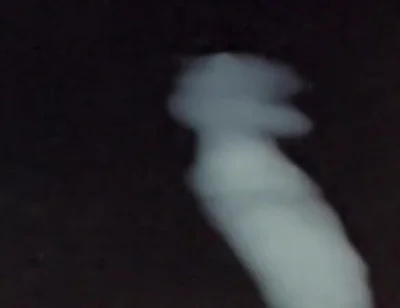 What Does Sperm Experience in Slow Motion?