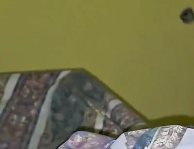 A Hard Dick Woke Me up in the Morning!