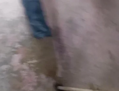 My Big Ass and Big Penis