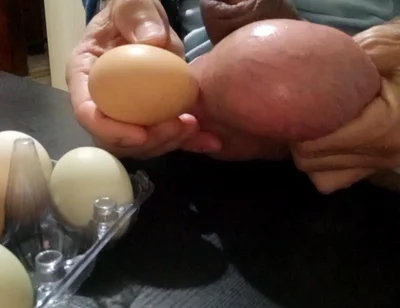 Measuring and Eggs Comparing