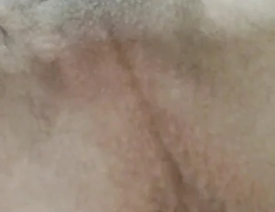 Nl Slut