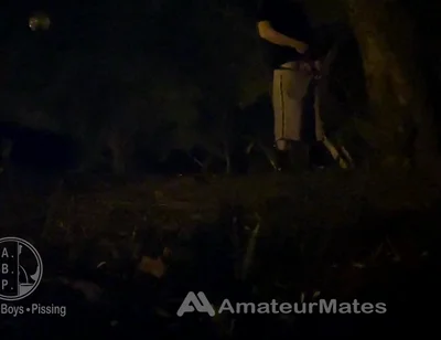 Amateur Straight Boy Caught Pissing in a Park, at Night