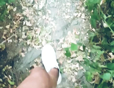 POV Naked Walk in the Woods