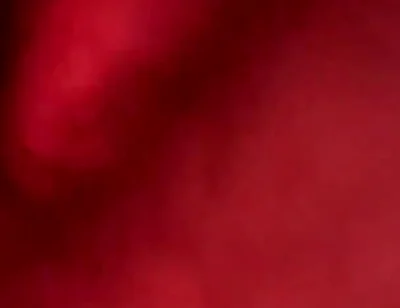 Couple Fuck