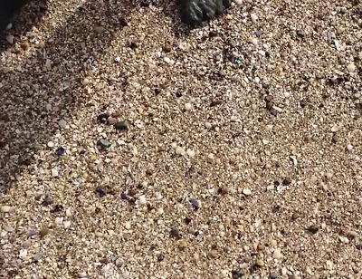 Short Test in the Mudflats on the Beach of Horumersiel