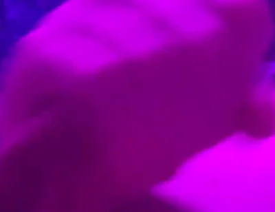 Redhead Teen Quick Orgasm Before Bed