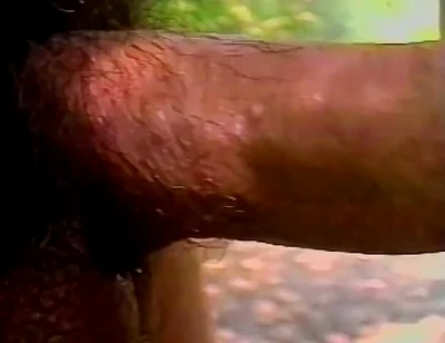 Sweet Latino Man Loving Outdoors