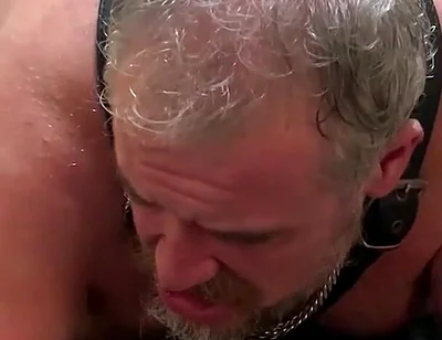 Fat Daddy Pig Pissgasms on a Fuck Machine