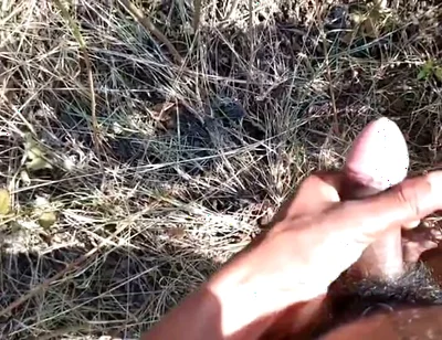 Desi Indian Sex Jungle Fucking Xxx Video
