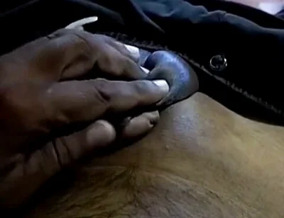 Enjoy My Small Dick