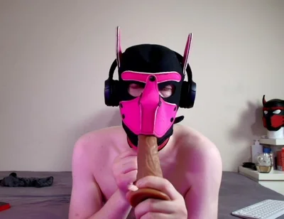 This Could Be Your Cock in Hound's Mouth