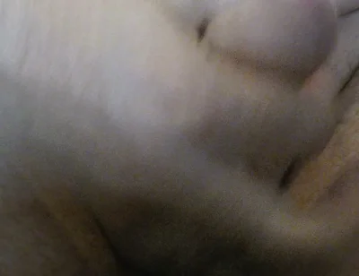 Cum Straw