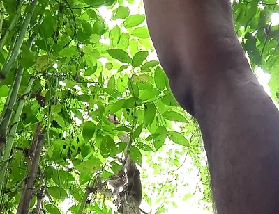 Jungle Masturbate I Need to Go Out for Horny