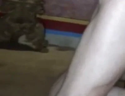 Amator Porn Casting Bareback First Time