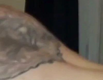 Fucked Raw by Surprise