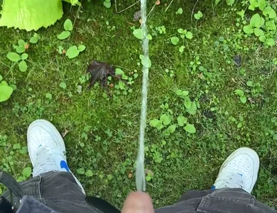 Golden Stream: Peeing in Paradise