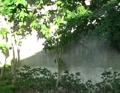 Fucked Raw in Exhib Ublic