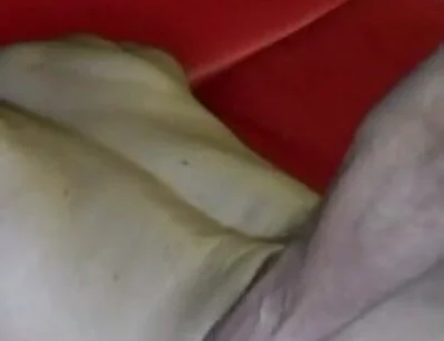 Fucked by Srraight in Bakroom From Madrid