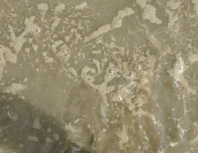 Barefoot in the September North Sea in Wangerland