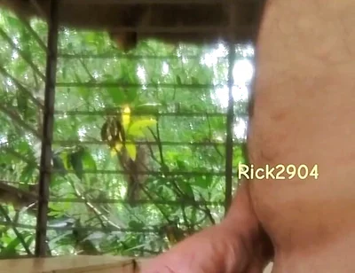 Playing with My Dick