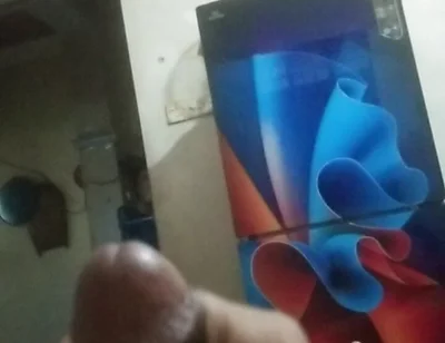 I Really Wanted It so I Gave It a Handjob.