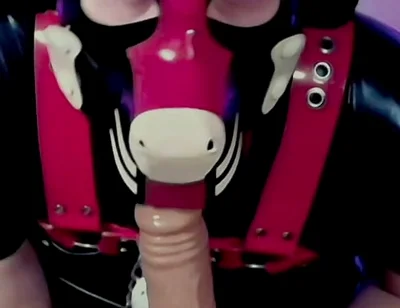 Goodboy Teases Playful Pup
