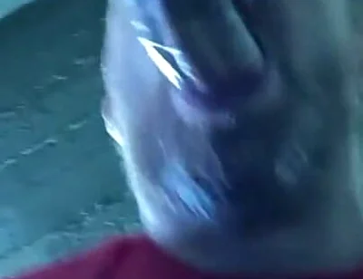Doormen Fucking to Andres 3