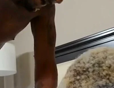 Kydezion and Tezjork