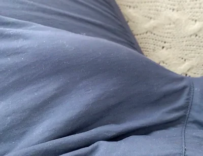 My Cock Is Doing the Iguana Trick