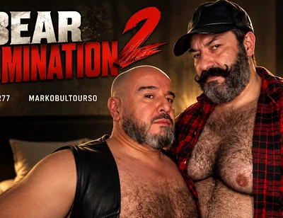 Bear Domination 2