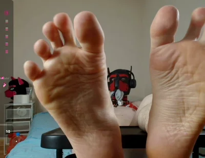 Puppy Shows off His Paws up Close
