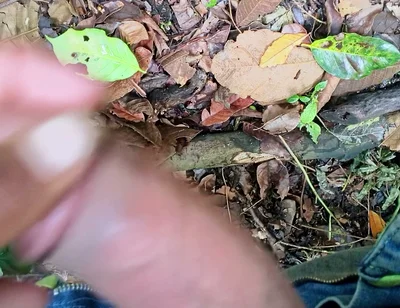 Home Video Porn Video