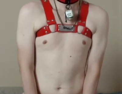 Needy Puppy Fucks His Toy Hard